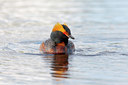 BUITEN BEELD Foto: 35270
