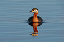 BUITEN BEELD Foto: 35311