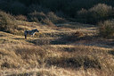 BUITEN BEELD Foto: 35327
