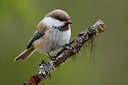 BUITEN BEELD Foto: 35416