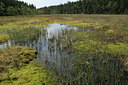 BUITEN BEELD Foto: 35431