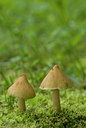 BUITEN BEELD Foto: 35477