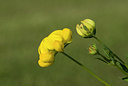 BUITEN BEELD Foto: 35558