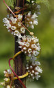 BUITEN BEELD Foto: 35604