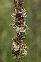 BUITEN BEELD Foto: 35605