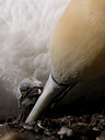 BUITEN BEELD Foto: 35619