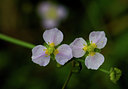 BUITEN BEELD Foto: 35665