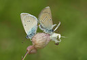 BUITEN BEELD Foto: 35732
