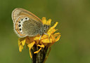 BUITEN BEELD Foto: 35742