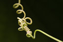 BUITEN BEELD Foto: 35783