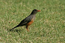 BUITEN BEELD Foto: 35785