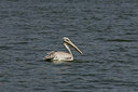 BUITEN BEELD Foto: 35795