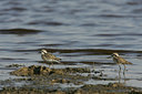 BUITEN BEELD Foto: 35800
