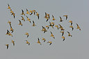 BUITEN BEELD Foto: 35812