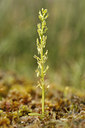 BUITEN BEELD Foto: 35895
