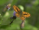 BUITEN BEELD Foto: 35899