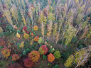 BUITEN BEELD Foto: 359017