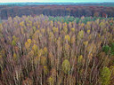 BUITEN BEELD Foto: 359019