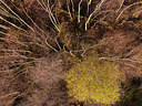 BUITEN BEELD Foto: 359021