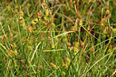BUITEN BEELD Foto: 359130