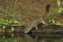 BUITEN BEELD Foto: 359190