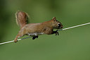 BUITEN BEELD Foto: 359196