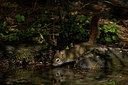 BUITEN BEELD Foto: 359199