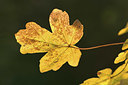 BUITEN BEELD Foto: 359227