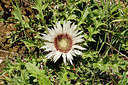 BUITEN BEELD Foto: 359275
