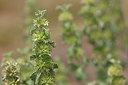 BUITEN BEELD Foto: 359289