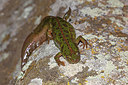 BUITEN BEELD Foto: 359337