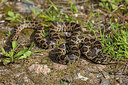BUITEN BEELD Foto: 359359