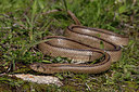 BUITEN BEELD Foto: 359392