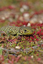 BUITEN BEELD Foto: 359407