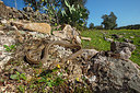 BUITEN BEELD Foto: 359409