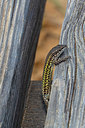 BUITEN BEELD Foto: 359410