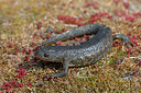 BUITEN BEELD Foto: 359419