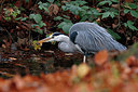 BUITEN BEELD Foto: 359451