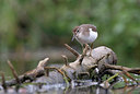 BUITEN BEELD Foto: 359475