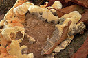BUITEN BEELD Foto: 359506