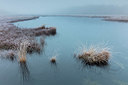 BUITEN BEELD Foto: 359509