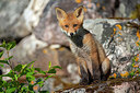 BUITEN BEELD Foto: 359601