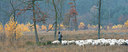 BUITEN BEELD Foto: 359620
