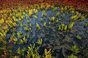 BUITEN BEELD Foto: 359629