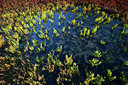 BUITEN BEELD Foto: 359631