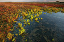 BUITEN BEELD Foto: 359659