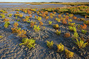 BUITEN BEELD Foto: 359660