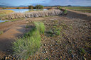 BUITEN BEELD Foto: 359672