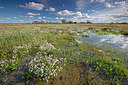 BUITEN BEELD Foto: 359751