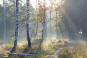 BUITEN BEELD Foto: 359838